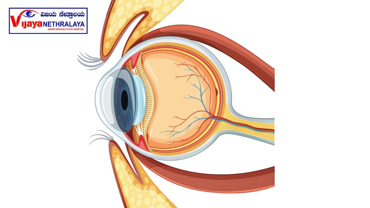 Retina eye how it looks in graphics