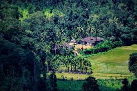 Veerajpet coorg nature image