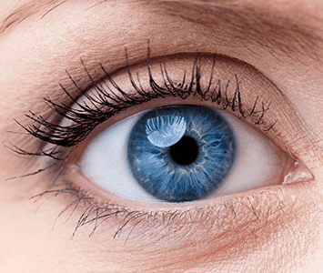 A women blue eye