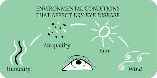Causes of dry eye are environmental factors